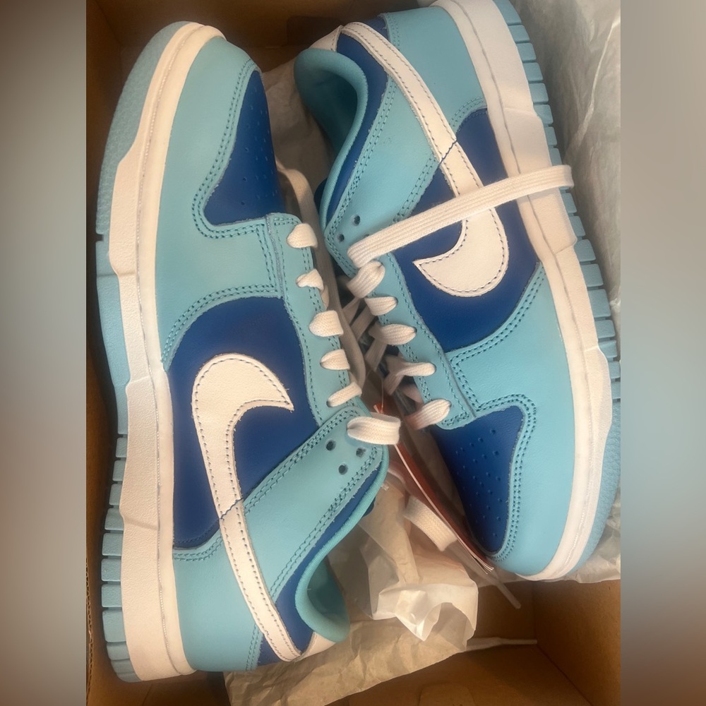 Nike dunk low brand new never worn in box